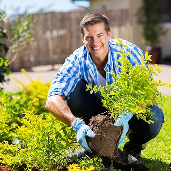 🔥Soil Improvement Loosening Agent