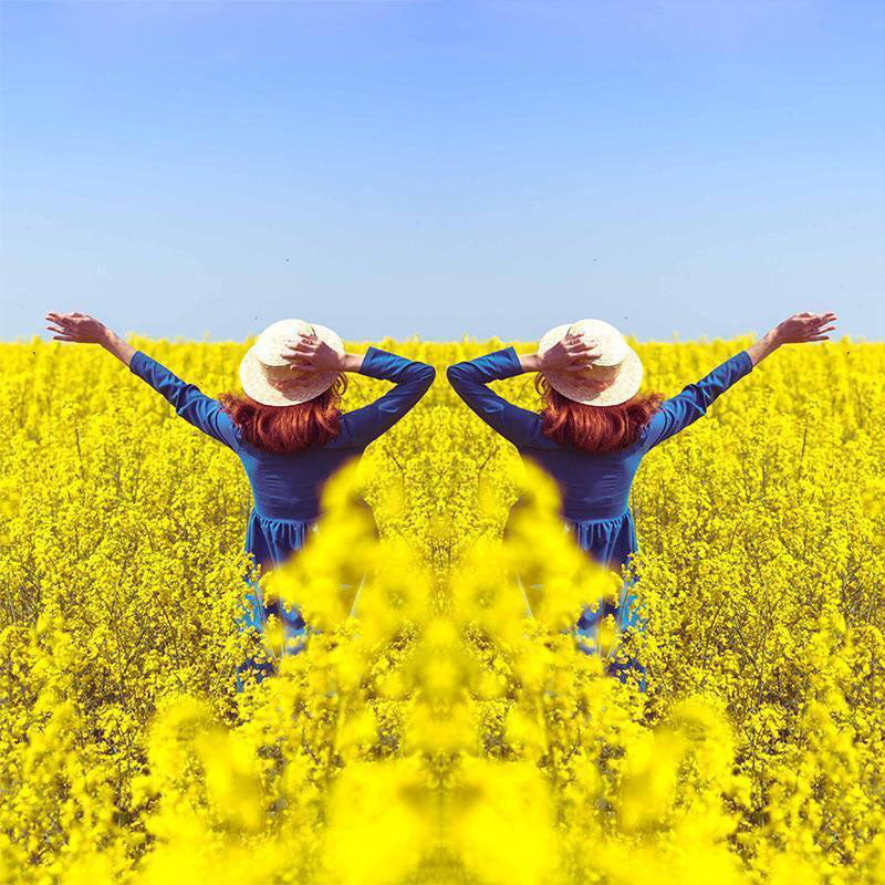 ✨Buy 1 Get 1 Free✨Mirror Effect Lens - Capture Stunning Reflections Instantly
