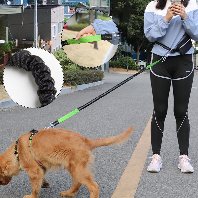 Adjustable Hands-Free Dog Lead with Waist Bag