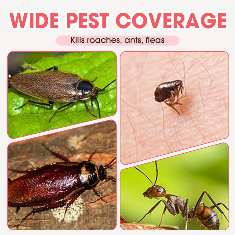 🔥2025 Hot Sale |Indoor Fipronil Pest Control Spray