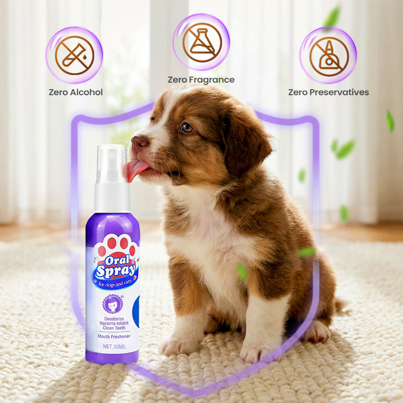 No-Brush Pet Dental Care Spray