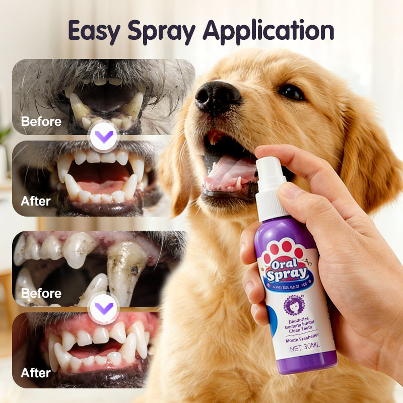 No-Brush Pet Dental Care Spray