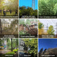 💥💥🌳Professional weeding, bamboo, trees, pollution-free to make the farm cleaner