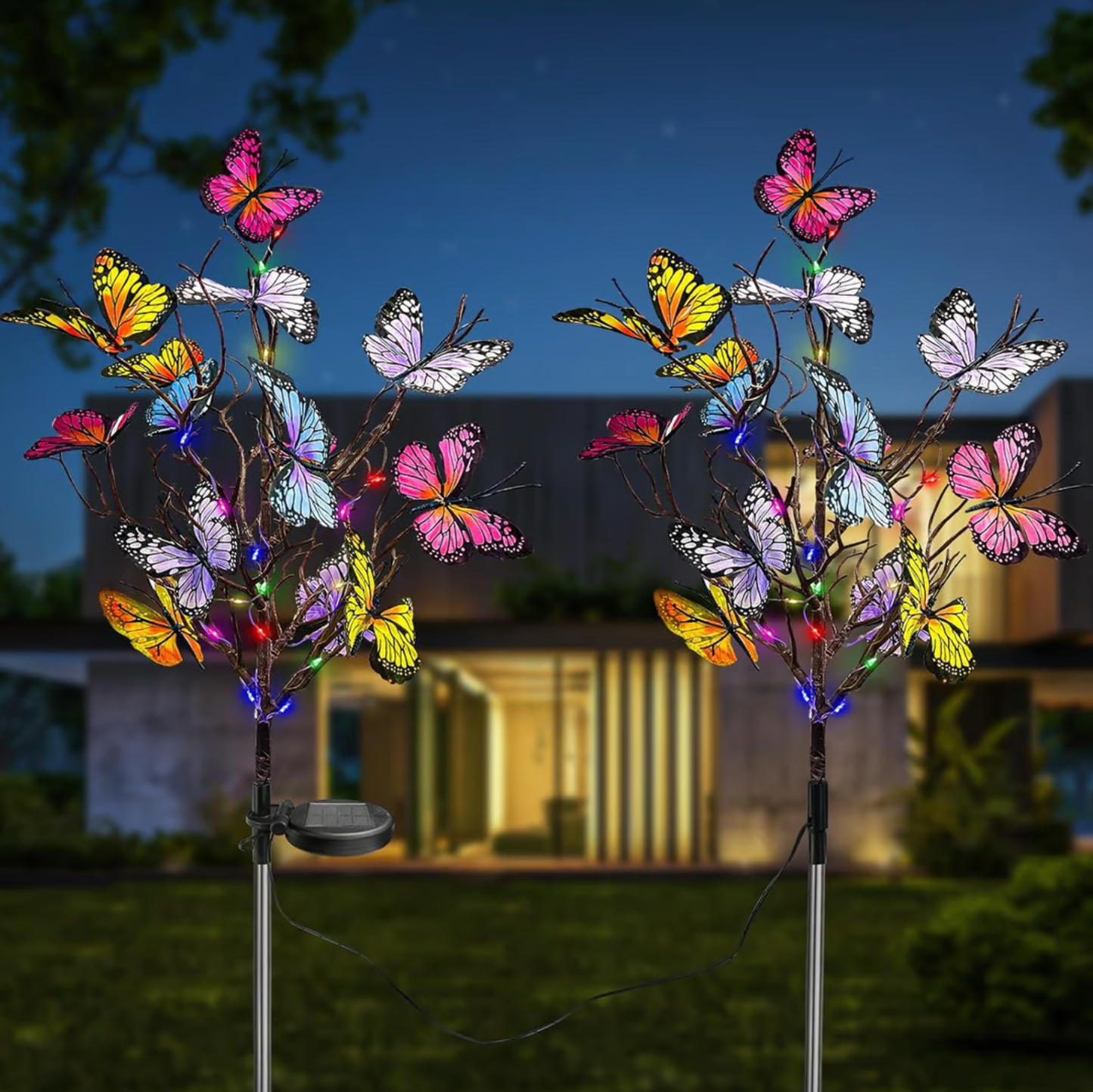 🔥2026 New Arrivals: 50% Off for a Limited Time!🔥🦋Hot Sale Offers-Solar Outdoor Butterfly Lights💐