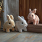 🔥2025 HOT SALE 🐇Bunny - My Realistic Rabbit Toy