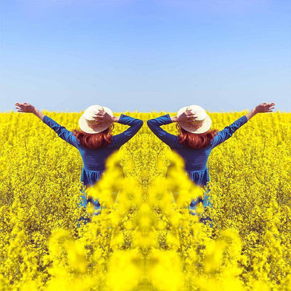 ✨Buy 1 Get 1 Free✨Mirror Effect Lens - Capture Stunning Reflections Instantly