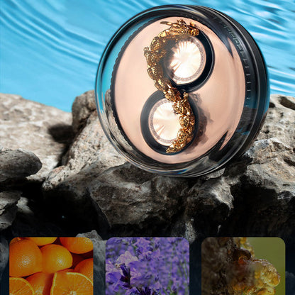Long Lasting Dragon Car Diffuser