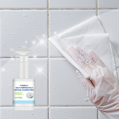 🎉Last Day Promotion - 70% OFF🔥Powerful Multi-purpose Mold Removal Cleaner Spray