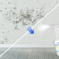🎉Last Day Promotion - 70% OFF🔥Powerful Multi-purpose Mold Removal Cleaner Spray