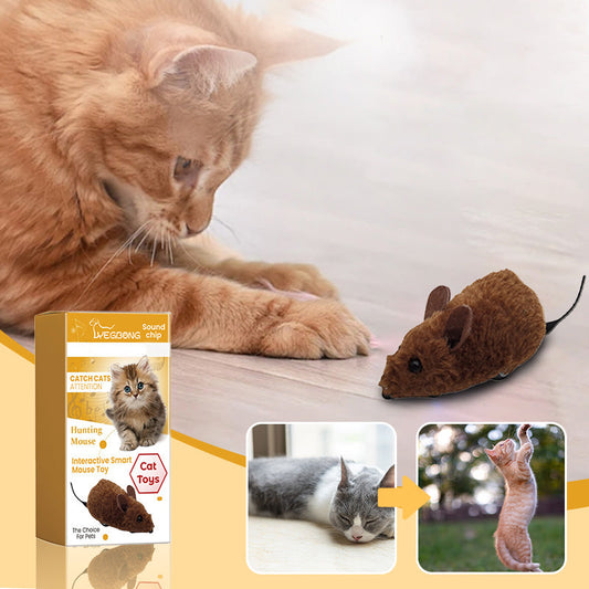 🐶🐱Mouse Toy for Cats and Dogs😻