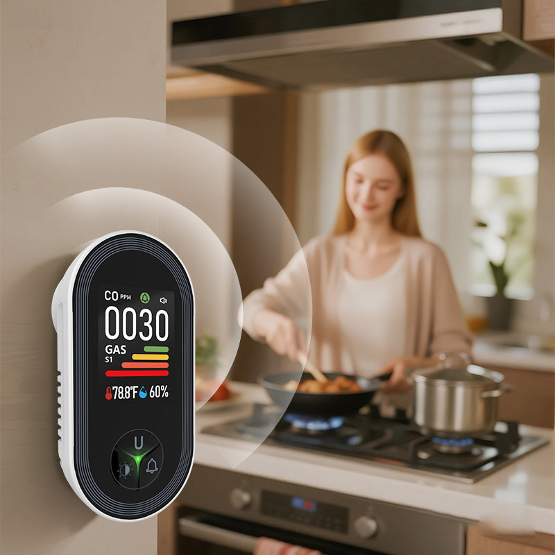 4-in-1 Display Remind,Plug in with Temperature Humidity Sensor Built-in,with DualSensor,Air Safety Remind with Clear Display Sound &Light for Homes,Kitchens,Apartments,RVs