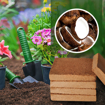 🎁Hot Sale 49% OFF⏳Organic Coconut Coir for Plants